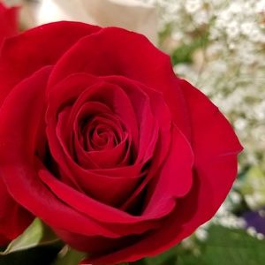 Meet your Posher, Mariah